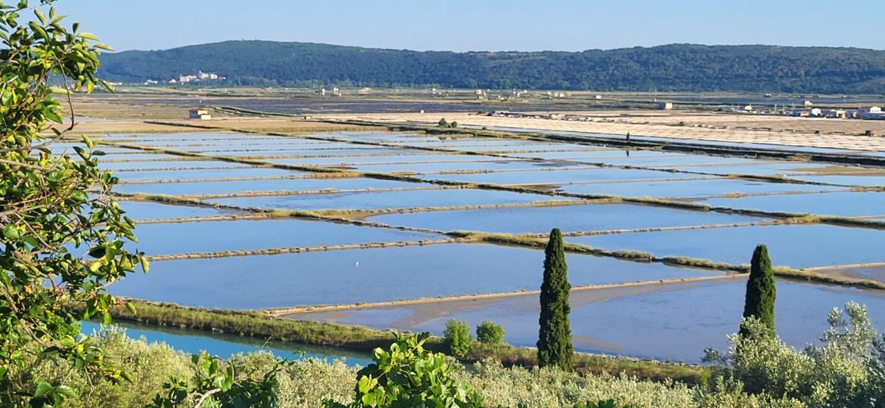 Apartment Salt Pans View بورتوروز المظهر الخارجي الصورة