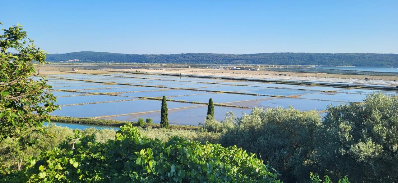 Apartment Salt Pans View بورتوروز المظهر الخارجي الصورة